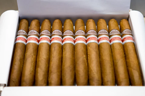 RAFAEL GONZALEZ 88 CIGAR (EX. ASIA PACIFICO 2016) - Box of 10 - Image 3