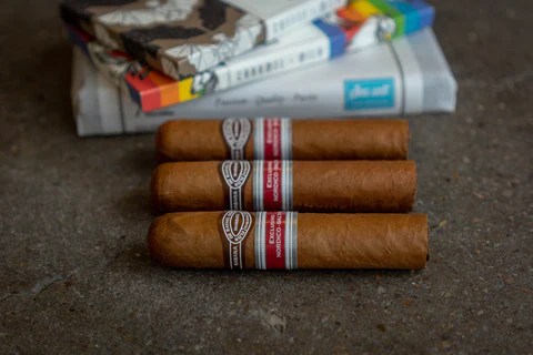 RAFAEL GONZALEZ NORTH STAR CIGAR (EX. NORDIC AND BALTIC 2017) - Box of 10 - Image 3